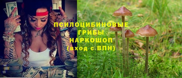 а пвп мука Абаза