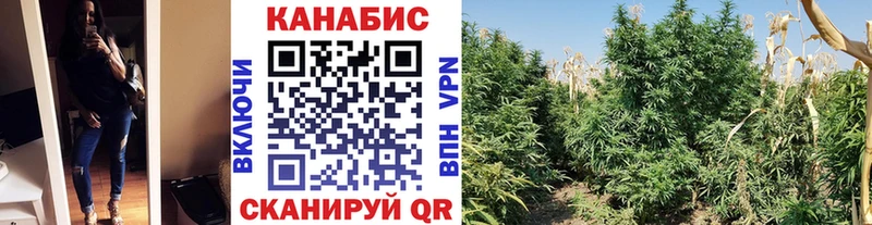 купить наркотик  Усолье  МАРИХУАНА ГИДРОПОН 